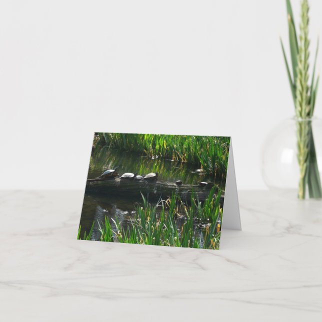 Rad av gröna sköldpaddor Naturfoto Kort (Framsida)
