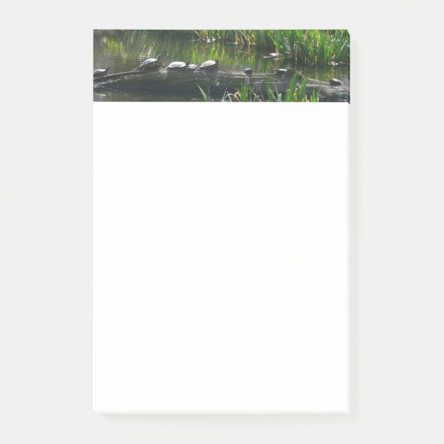 Rad av gröna sköldpaddor Naturfoto Post-it Block (Framsida)