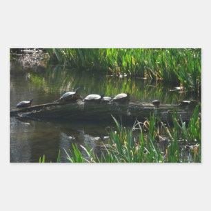Rad av gröna sköldpaddor Naturfoto Rektangulärt Klistermärke