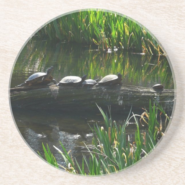 Rad av gröna sköldpaddor Naturfoto Underlägg (Framsidan)