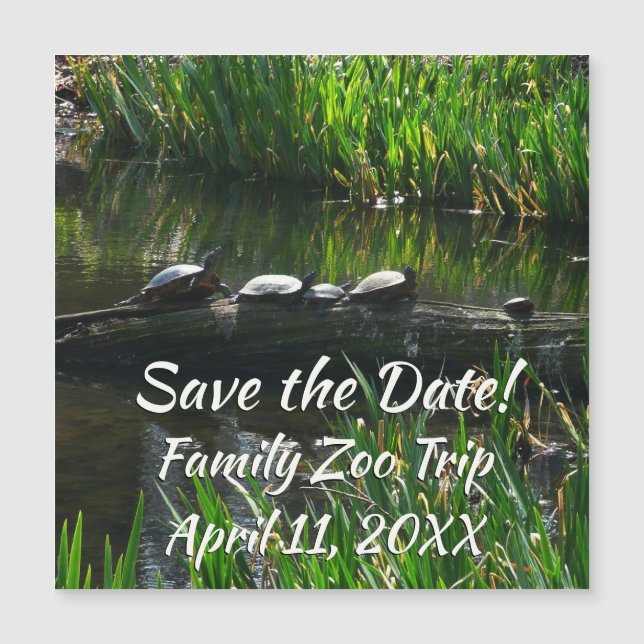 Rad av Turtles Grönt Natature Photo (Framsida)