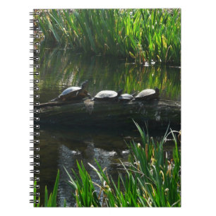 Rad av Turtles Grönt Natature Photo Anteckningsbok