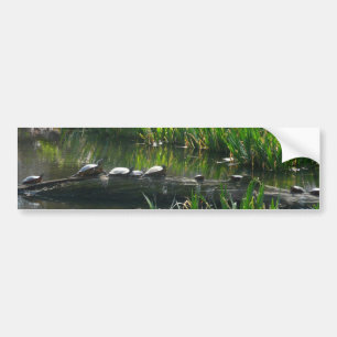 Rad av Turtles Grönt Natature Photo Bildekal