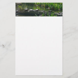 Rad av Turtles Grönt Natature Photo Brevpapper