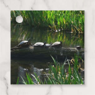 Rad av Turtles Grönt Natature Photo Gåvor Etiketter