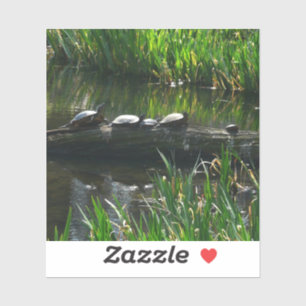 Rad av Turtles Grönt Natature Photo Klistermärken