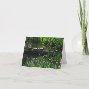 Rad av Turtles Grönt Natature Photo Kort