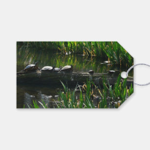 Rad av Turtles Grönt Natature Photo Presentetikett