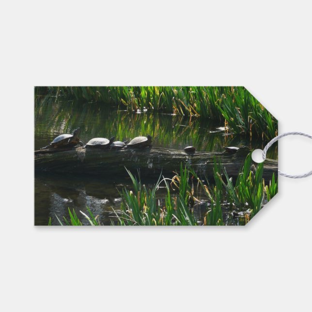 Rad av Turtles Grönt Natature Photo Presentetikett (Framsidan (Horisontell))