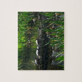 Rad av Turtles Grönt Natature Photo Pussel