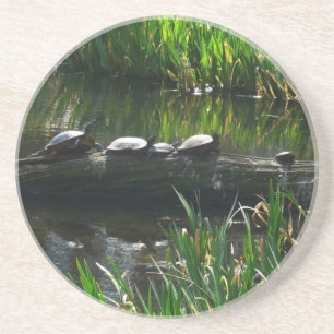 Rad av Turtles Grönt Natature Photo Underlägg