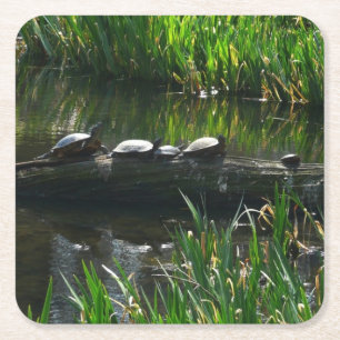 Rad av Turtles Grönt Natature Photo Underlägg Papper Kvadrat