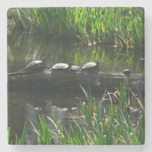 Rad av Turtles Grönt Natature Photo Underlägg Sten