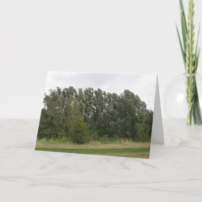 Rad för landskapskort i Träd Kort (Framsida)