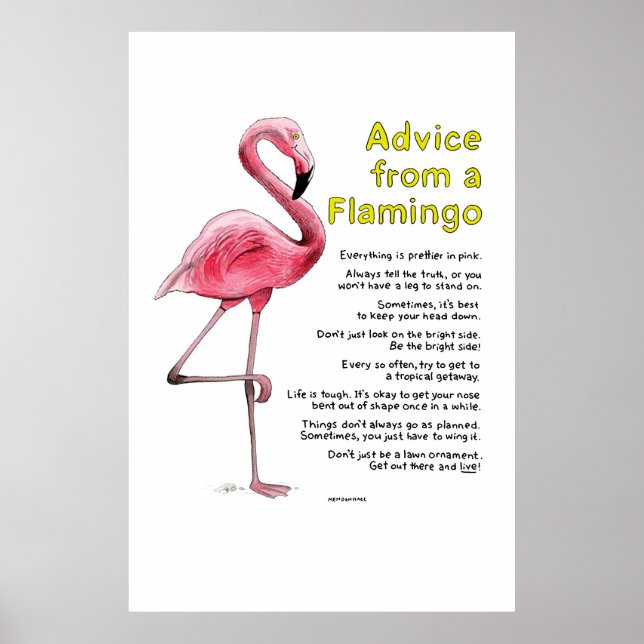Råd från en Flamingo-Poster Poster (Framsidan)