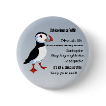 Råd från en Puffin Design-knapp