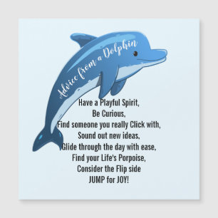 Råd från ett delfinmagnet