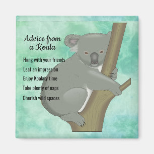Råd från Koala Design Magnet