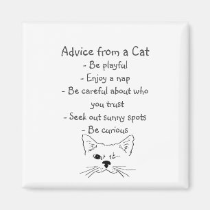 Råd från Winking Cat Roligt Animal Humor Magnet