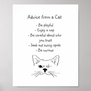 Råd från Winking Cat Roligt Animal Humor Poster