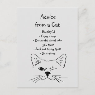 Råd från Winking Cat Roligt Animal Humor Vykort