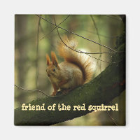 Rad Squirrel/Friend of the Red Squirrel