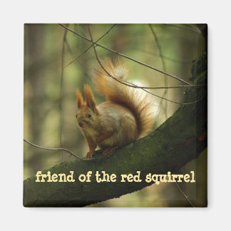 Rad Squirrel/Friend of the Red Squirrel Magnet