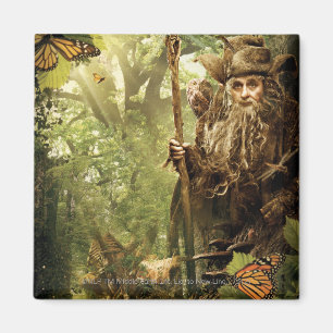 RADAGAST™ i skogen Magnet