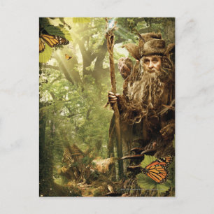 RADAGAST™ i skogen Vykort