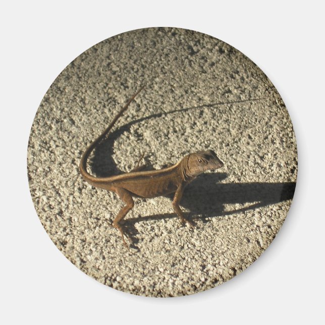 Rädd av min egen skugga magnet (Framsidan)