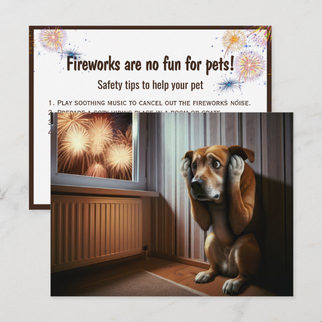 Rädd Hund som tittar på fyrverkerier Vykort (Fram/baksida)