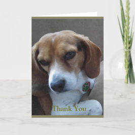 Rädda Beagle "Sunny" tackkort