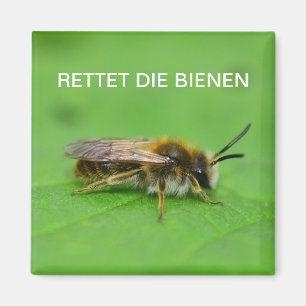 Rädda bin magnet