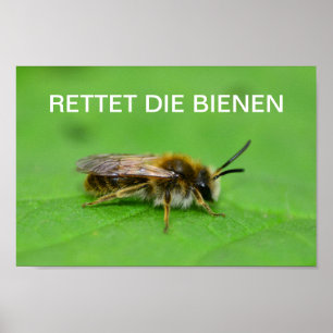 Rädda bina poster
