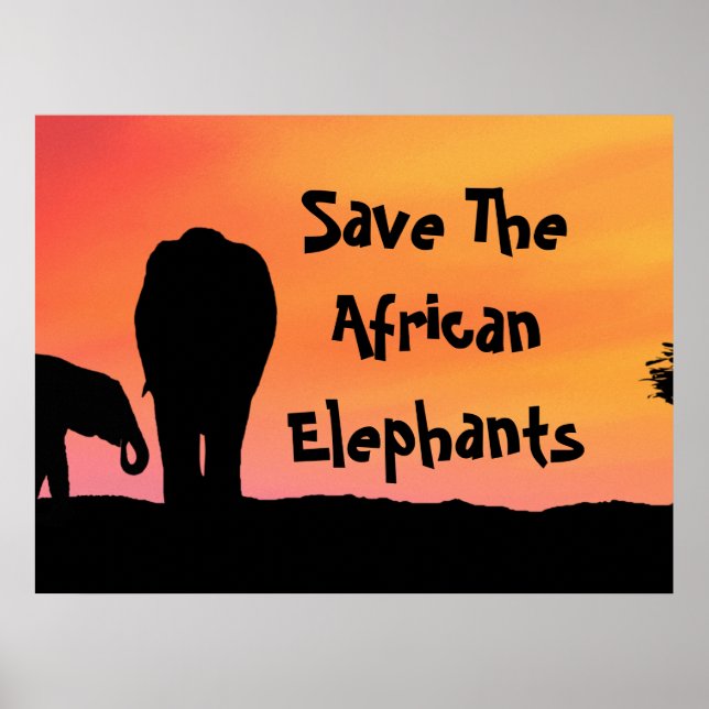 Rädda De Afrikanska Elefanterna Poster (Framsidan)