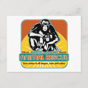 rädda djuren Chimpanzee Vykort
