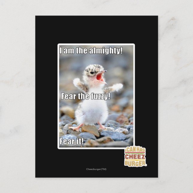 Rädda Fuzzy! Vykort (Framsida)