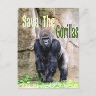 Rädda Gorillorna Vykort