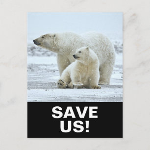 Rädda Isbjörnar Klimataktivism Slogan på Svart Vykort
