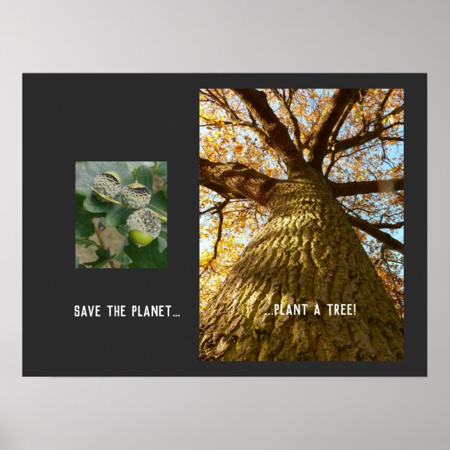 Rädda planeten Poster (Framsidan)