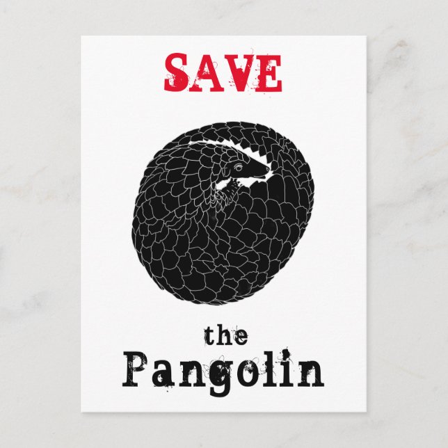 Rädda Skalbaggen/pangolin Utrotningshotad art Djur Vykort (Framsida)