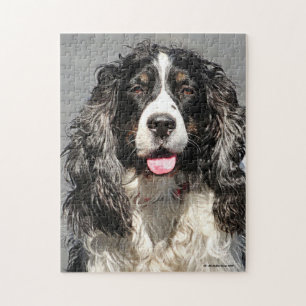 Rädda Springer spanjor Hund Jigszle Puzzle Pussel