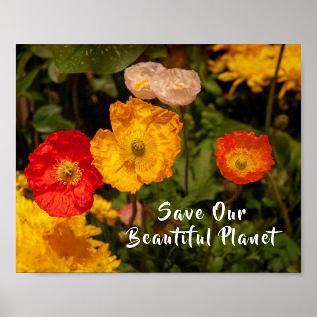 Rädda Vår Vackra Planet Vackra Ljusblommor Poster (Framsidan)