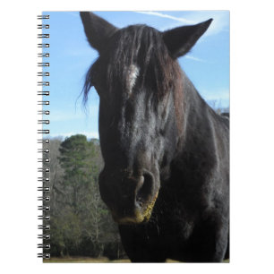 Räddad Black Draft Horse Anteckningsbok Med Spiral