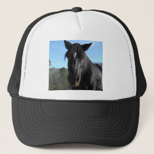 Räddad Black Draft Horse Keps