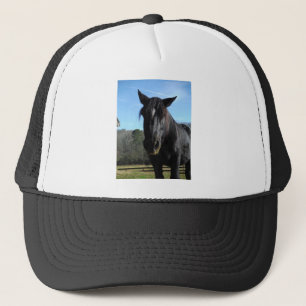 Räddad Black Draft Horse Keps