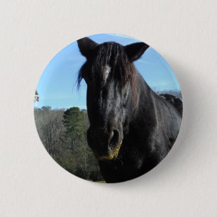 Räddad Black Draft Horse Knapp