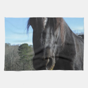 Räddad Black Draft Horse Kökshandduk
