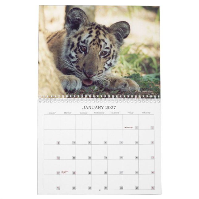 Räddad djurkalender kalender (Jan 2027)