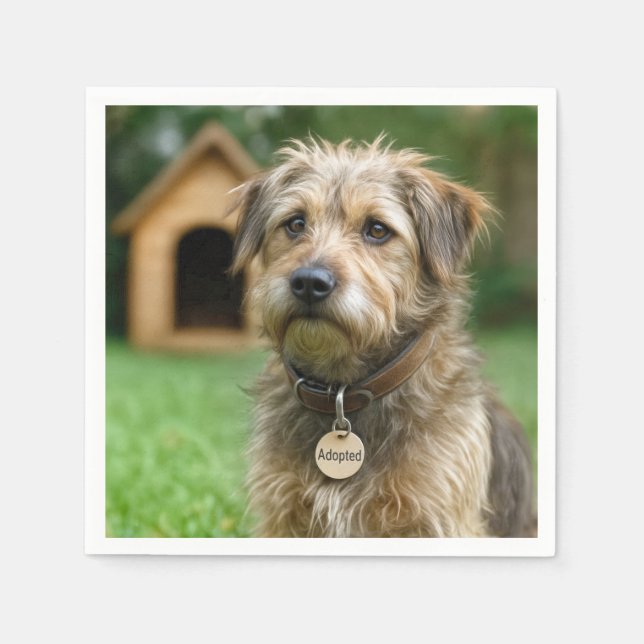 Räddad lurvig hund med hundkoja pappersservett (Framsidan)
